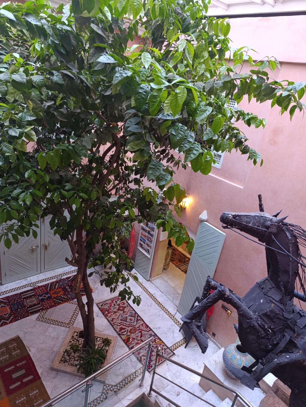 Riad Moullaoud Marrakesh Eksteriør bilde